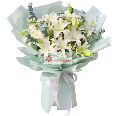 辽阳6支白色多头百合，温馨的祝福